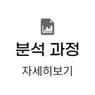 분석과정 자세히보기